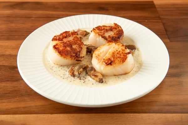Scallops