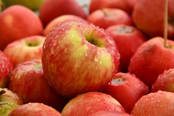 bunch of apples