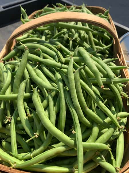 green beans 