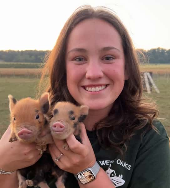 piglets