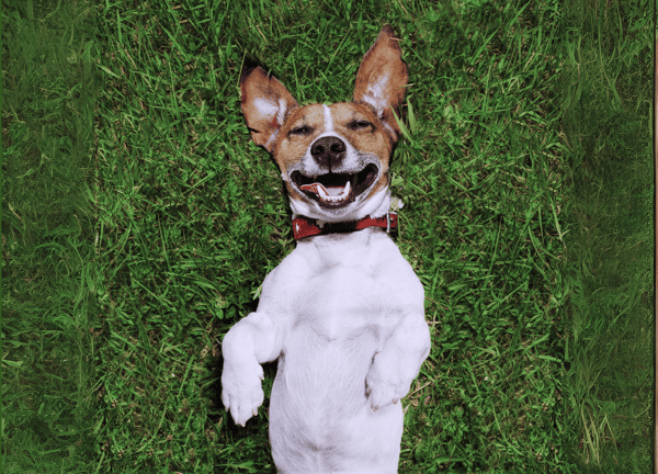 YAPPY HOUR