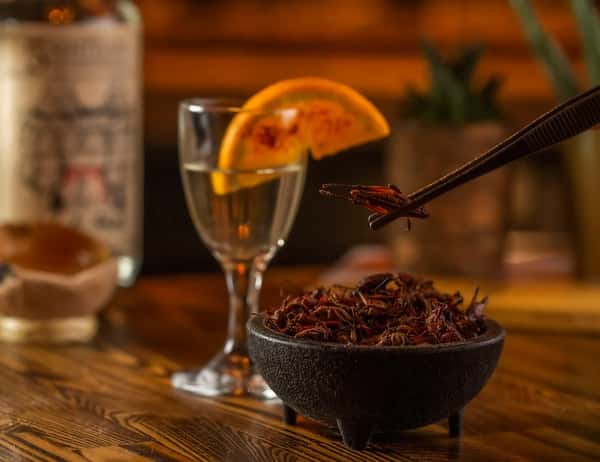 Mezcal served with orange slice and a bowl of roasted chapulines, one held by tweezers on a rustic wooden bar table.