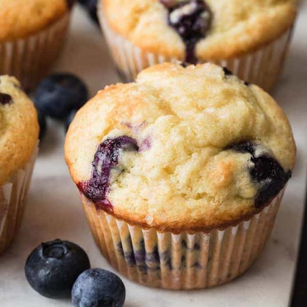 Blueberry Muffin