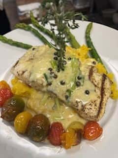 South America Grouper
