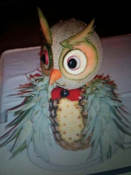 pineapple owl