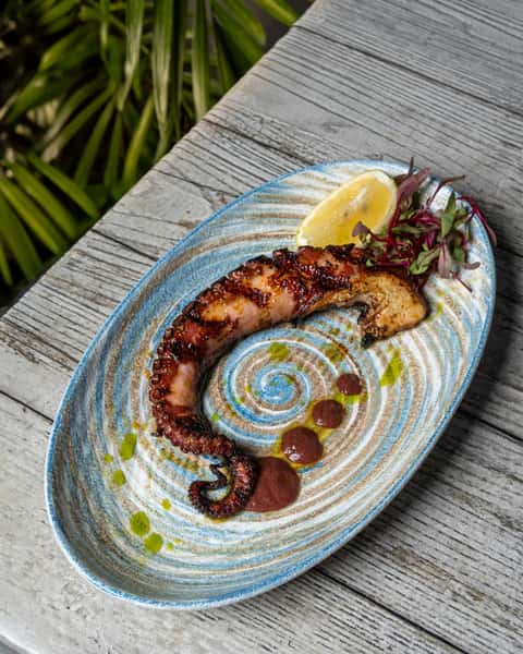 GRILLED OCTOPUS