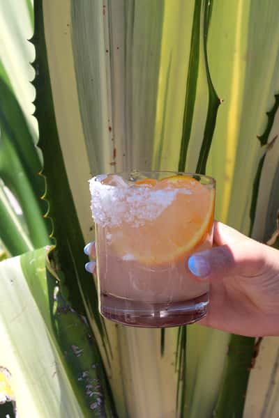 Palo-Mule
