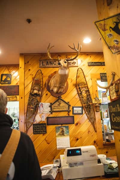 Deer inside Michael's Bridge Diner
