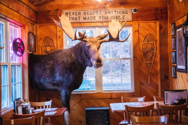 Moose at Entrance of Michael's Bridge Diner