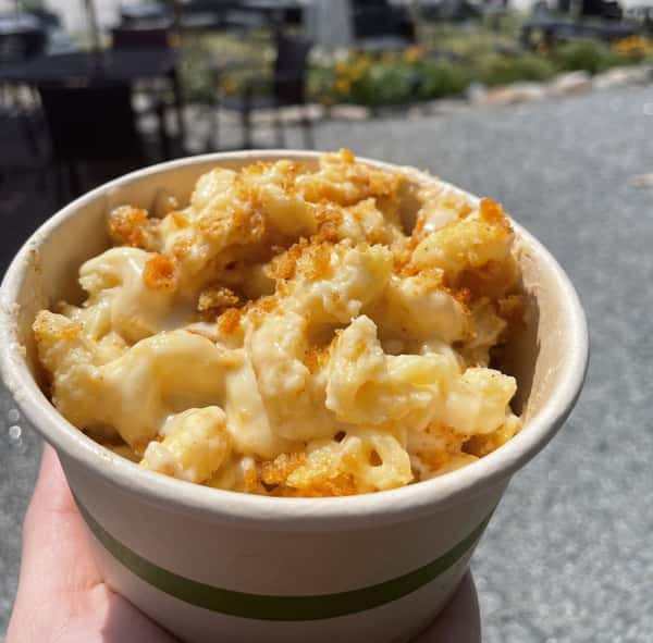 Baked Macaroni and Cheese