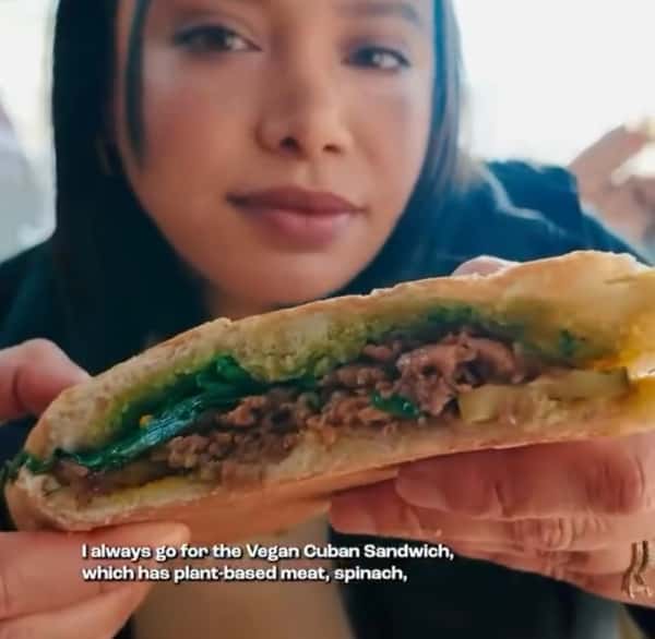Vegetarian Sandwich