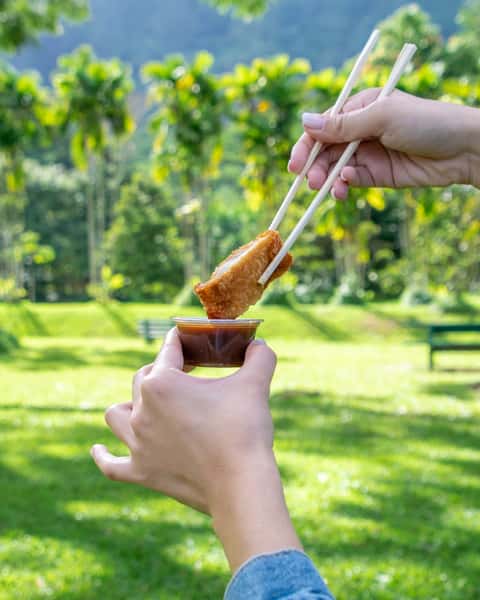 chicken strips