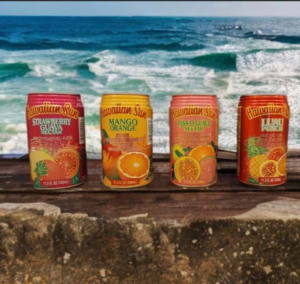 Hawaiian Sun Aloha Drinks Flavors Will Vary
