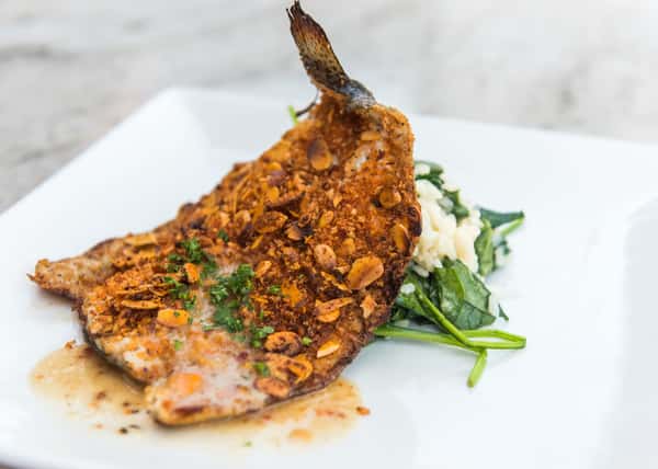 Trout Almondine Dinner Bernini's Bistro Italian Restaurant in La