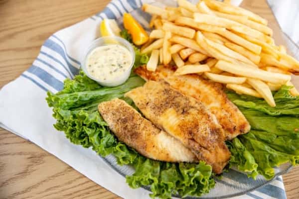 Tilapia
