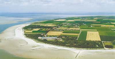 aerial shot