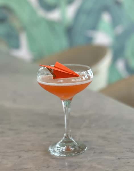 Paper Plane