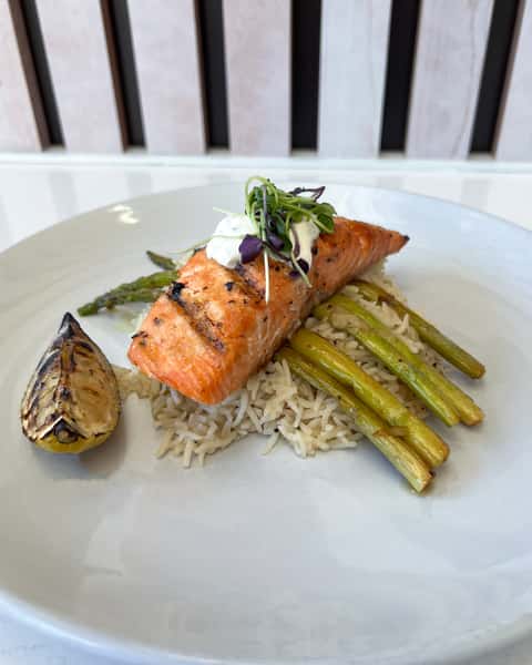 Salmon