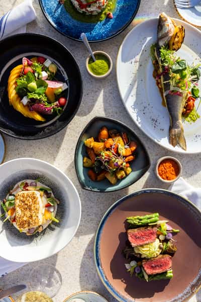 A variety of dinner dishes on a table