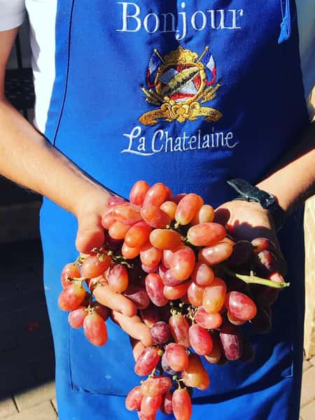 la chatelaine employee holding grapes