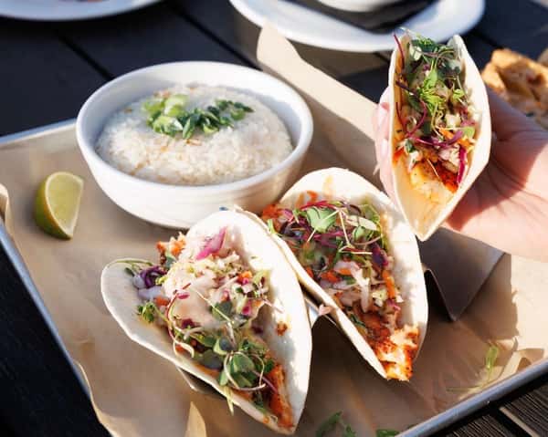 Grouper Tacos