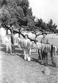 fish hanging