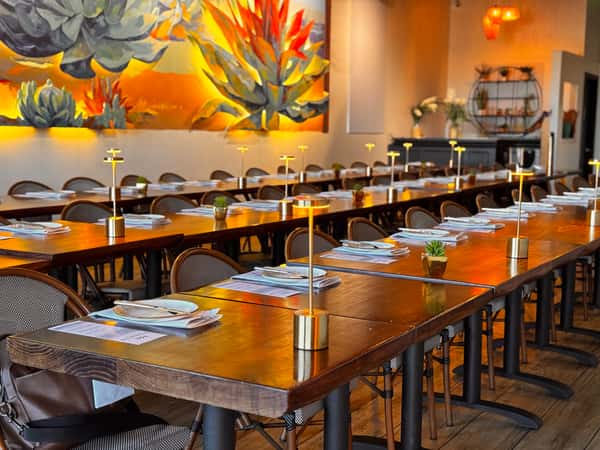 agave room