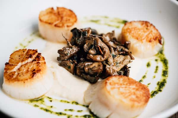 scallops