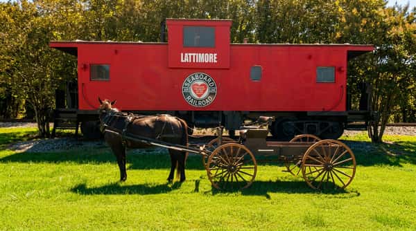 A brown horse harnessed to awagon stands in green grass in front of a red train car labeled "LATTIMORE SEABOARD RAILROAD."