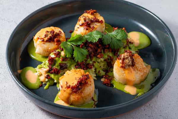 Scallops