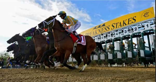 Preakness