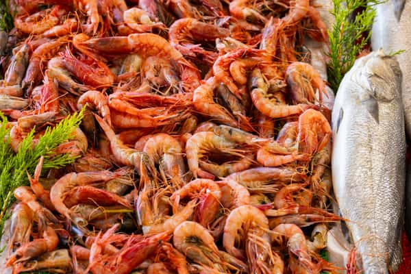SHRIMP- BOILED 2#