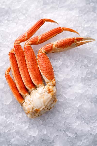 SNOWCRAB LEGS CLUSTER - 1 CLUSTER