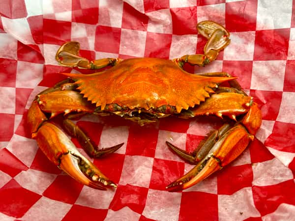 boiled crab