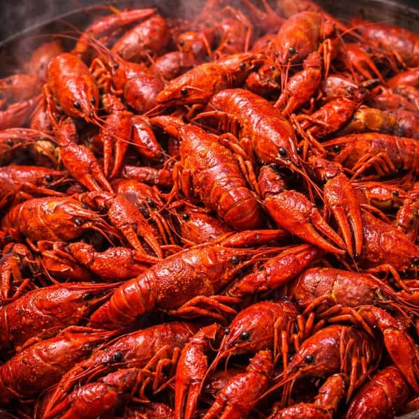 5 POUND CRAWFISH SPECIAL