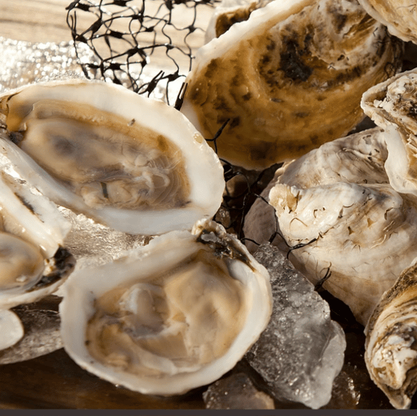 CHUNU oyster on the half shell