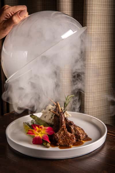 Lamb-1