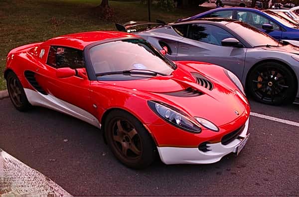 Lotus