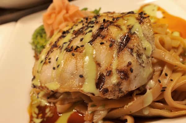 meat dish with a drizzle of sauce on a plate