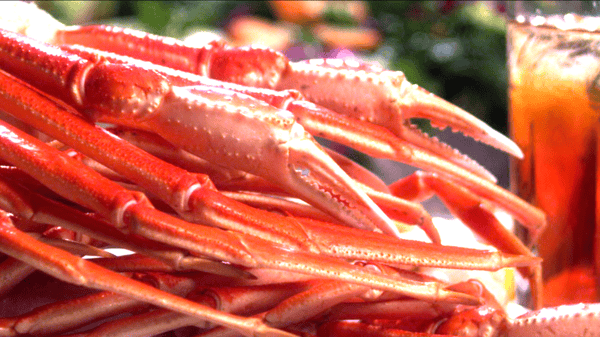 capt jacks family buffet crab legs are all you can eat