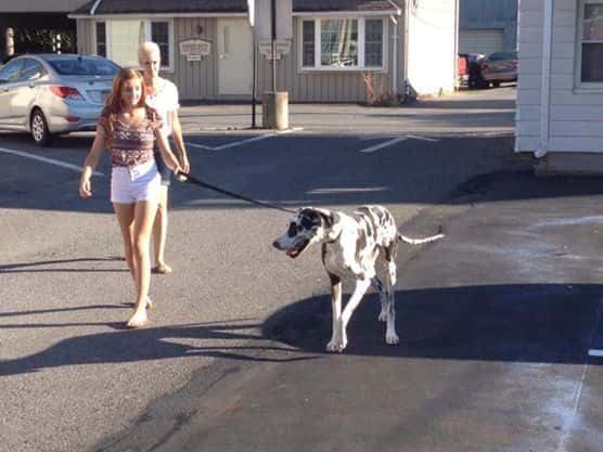Lady walking her dog