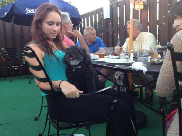 Lady with a dog in her lap at the table