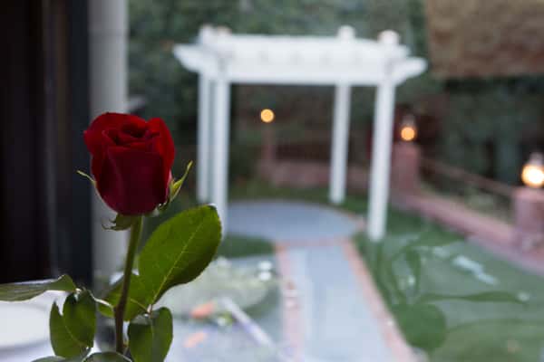 Rose