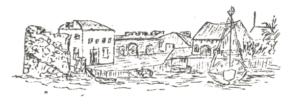 graphic