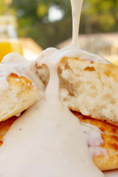 Gravy & Biscuit