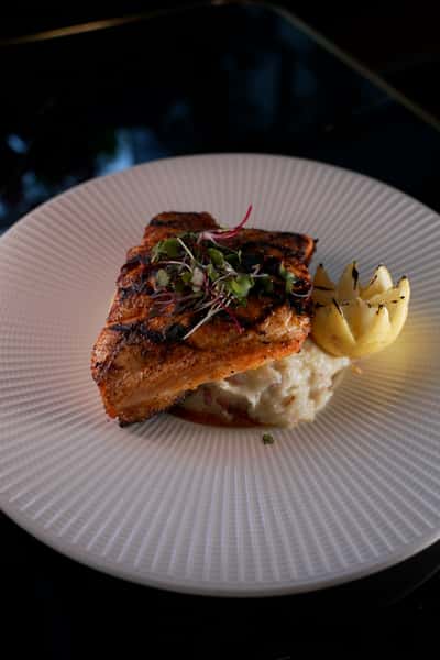 Salmon