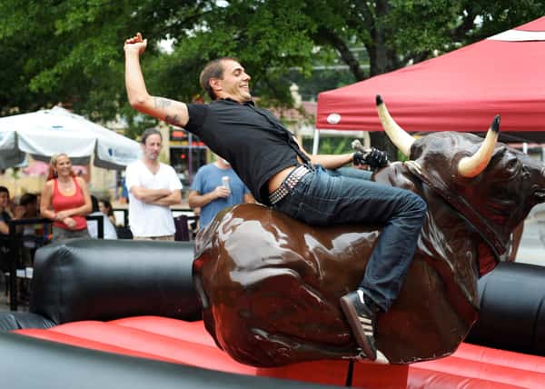 bull