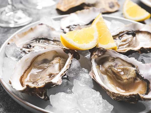Oysters on the Half Shell*