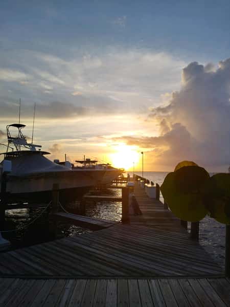 marina sunset