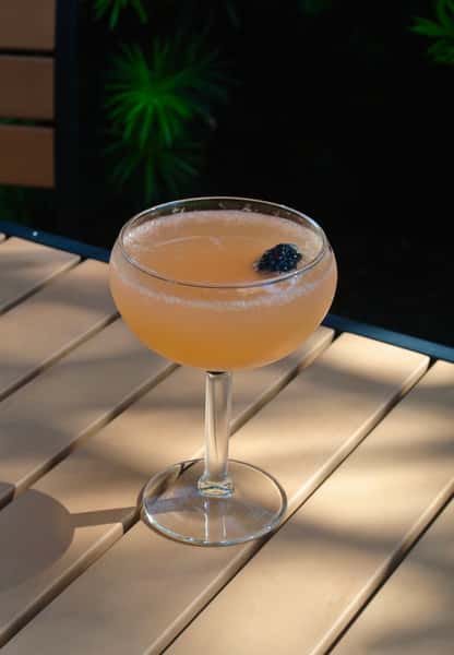 Mesero Mimosa
